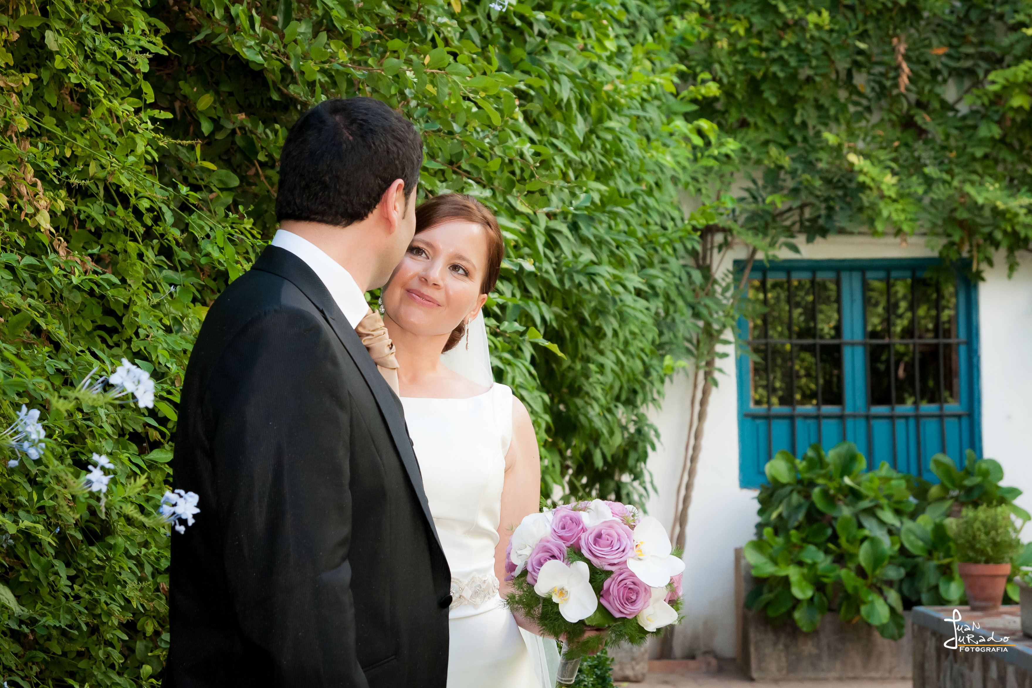 Boda 13