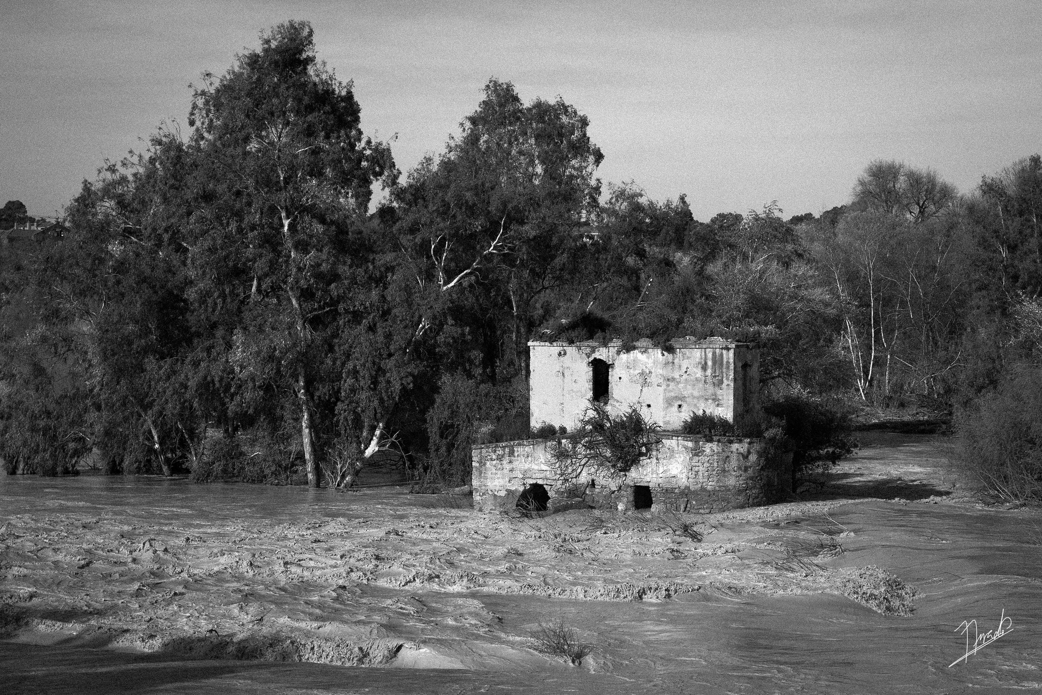 Molino 1